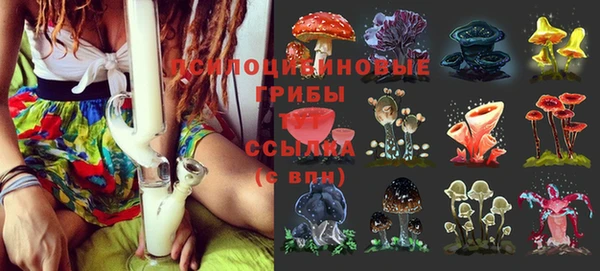 ПСИЛОЦИБИНОВЫЕ ГРИБЫ Арсеньев