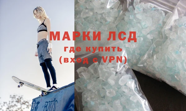 ПСИЛОЦИБИНОВЫЕ ГРИБЫ Арсеньев