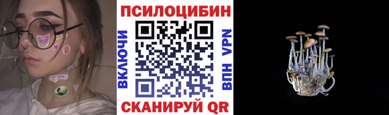 дарк нет официальный сайт  Слободской  Псилоцибиновые грибы Psilocybe 